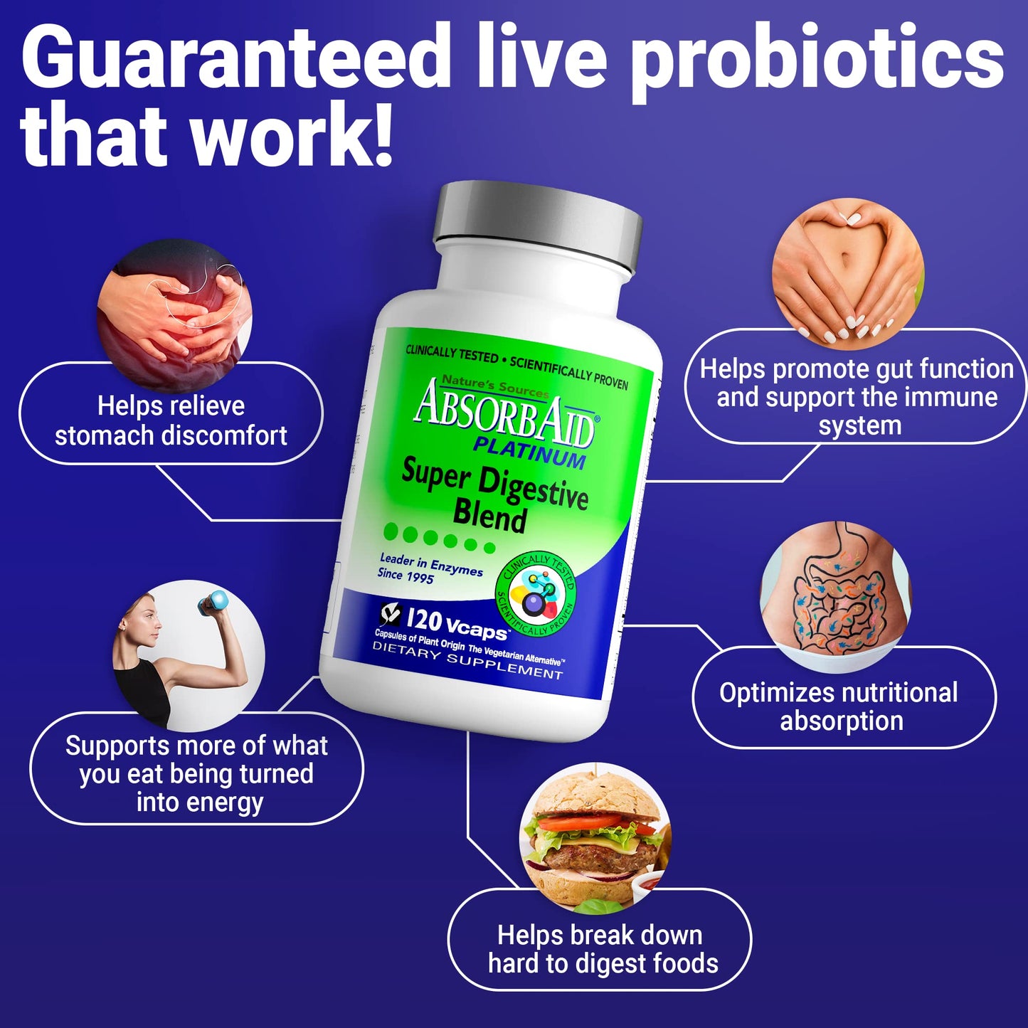 AbsorbAid Platinum Digestive Enzyme Support Capsules 120 Count