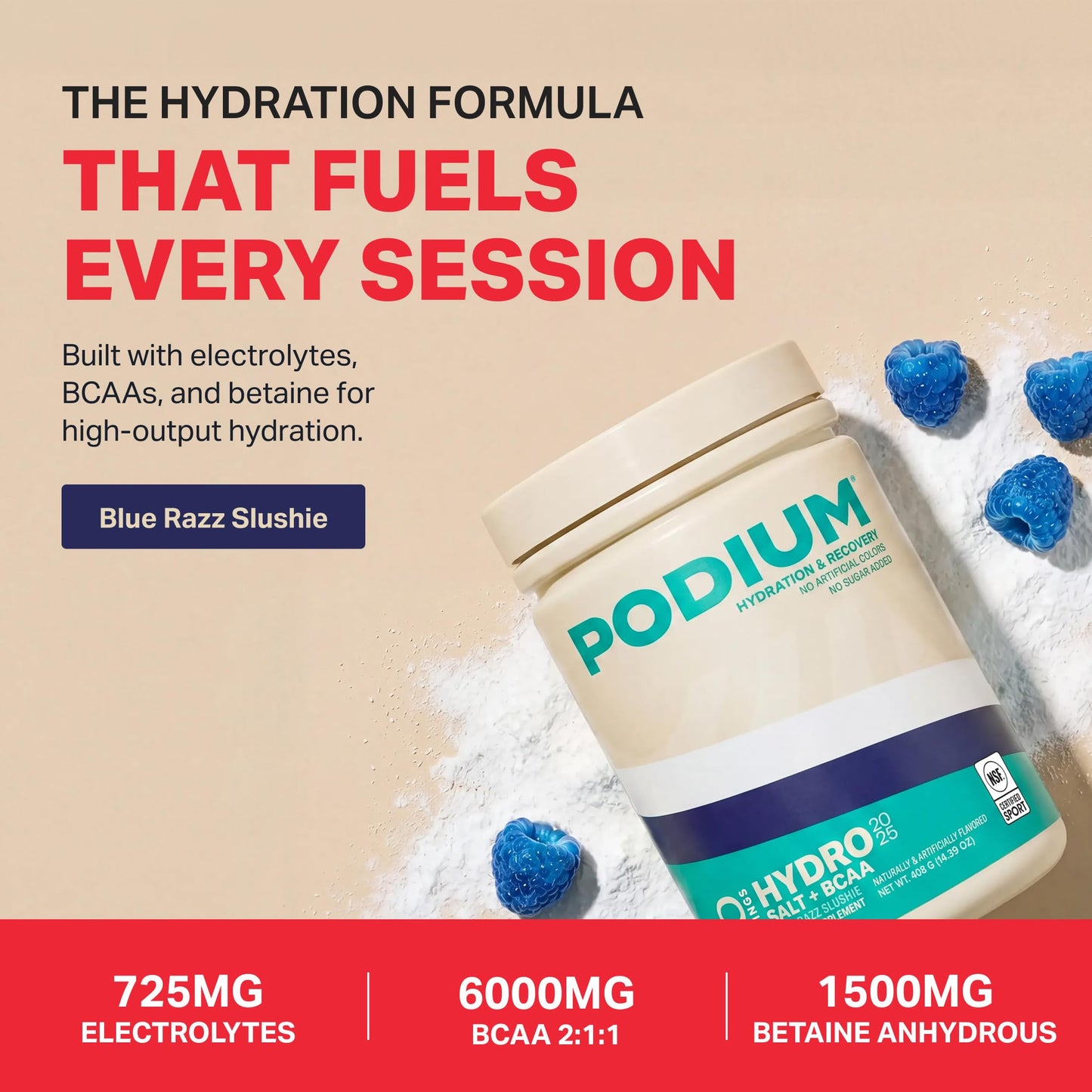 Podium Nutrition Instantized BCAA Powder Hydro and Salt 2025, 14.82 oz