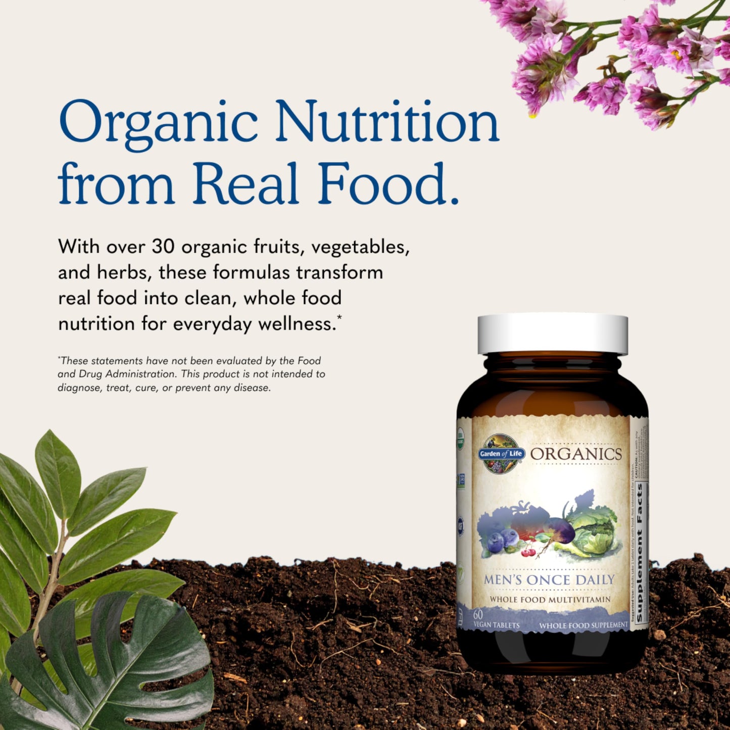 Garden of Life Once Daily Whole Food Multivitamin for Men, Organic Mens Vitamins & Minerals, Vitamin C, Zinc, Vegan, for Health & Well-Being, 60 Tablets