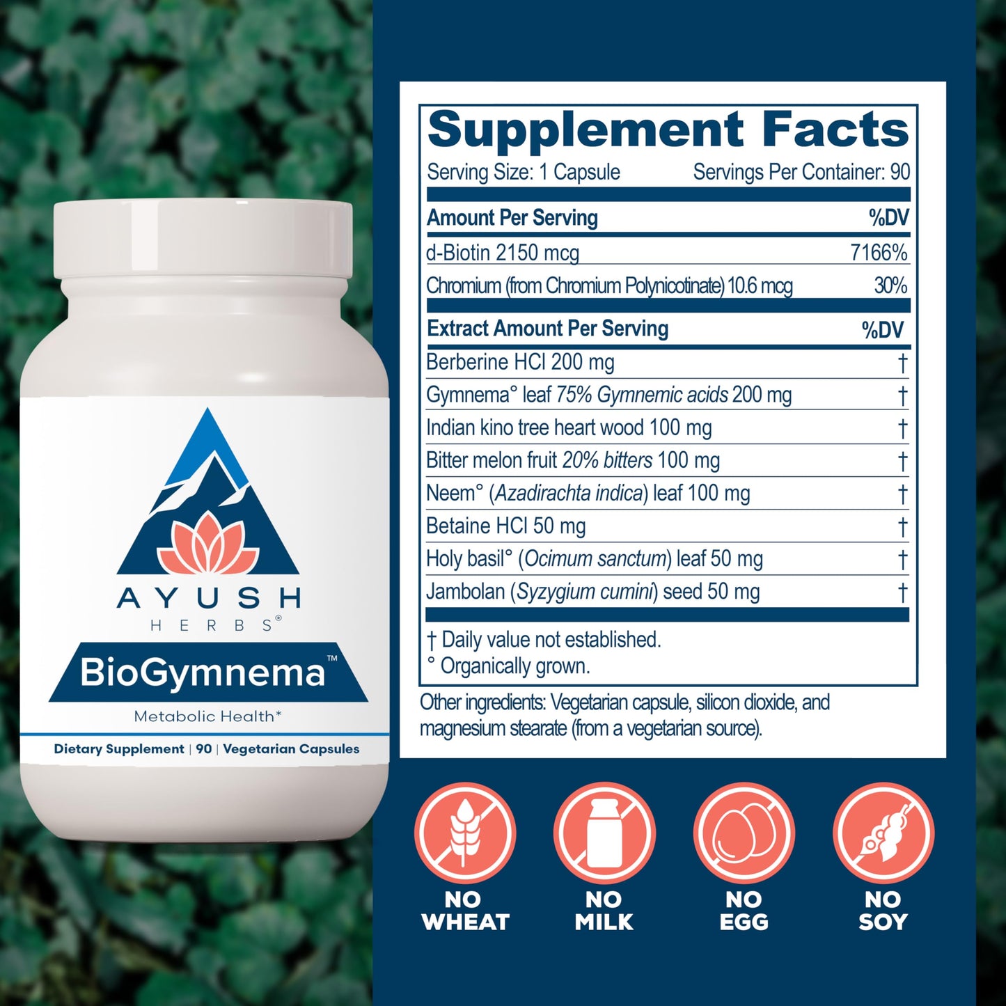 Ayush Herbs BioGymnema Metabolic Vitamin & Herb Blend Capsule 90 Count