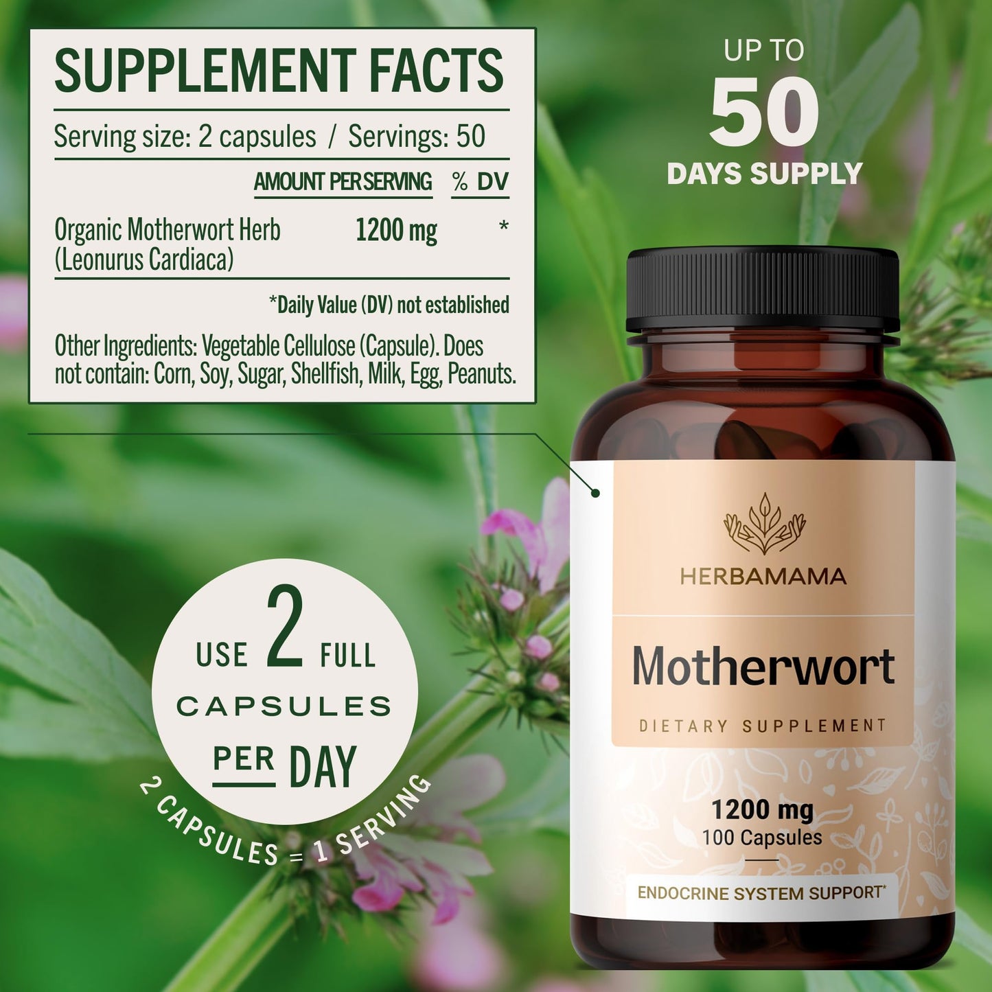 HERBAMAMA Motherwort Capsules 100 Count