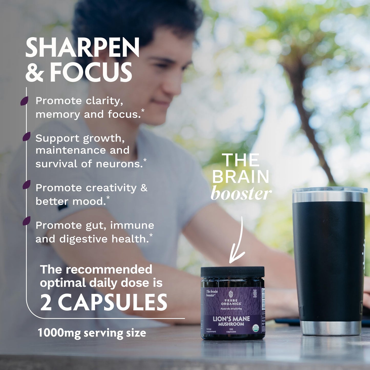 TRIBE ORGANICS Lion’s Mane Supplement 1000mg Mushroom Extract Powder, 120 Capsules