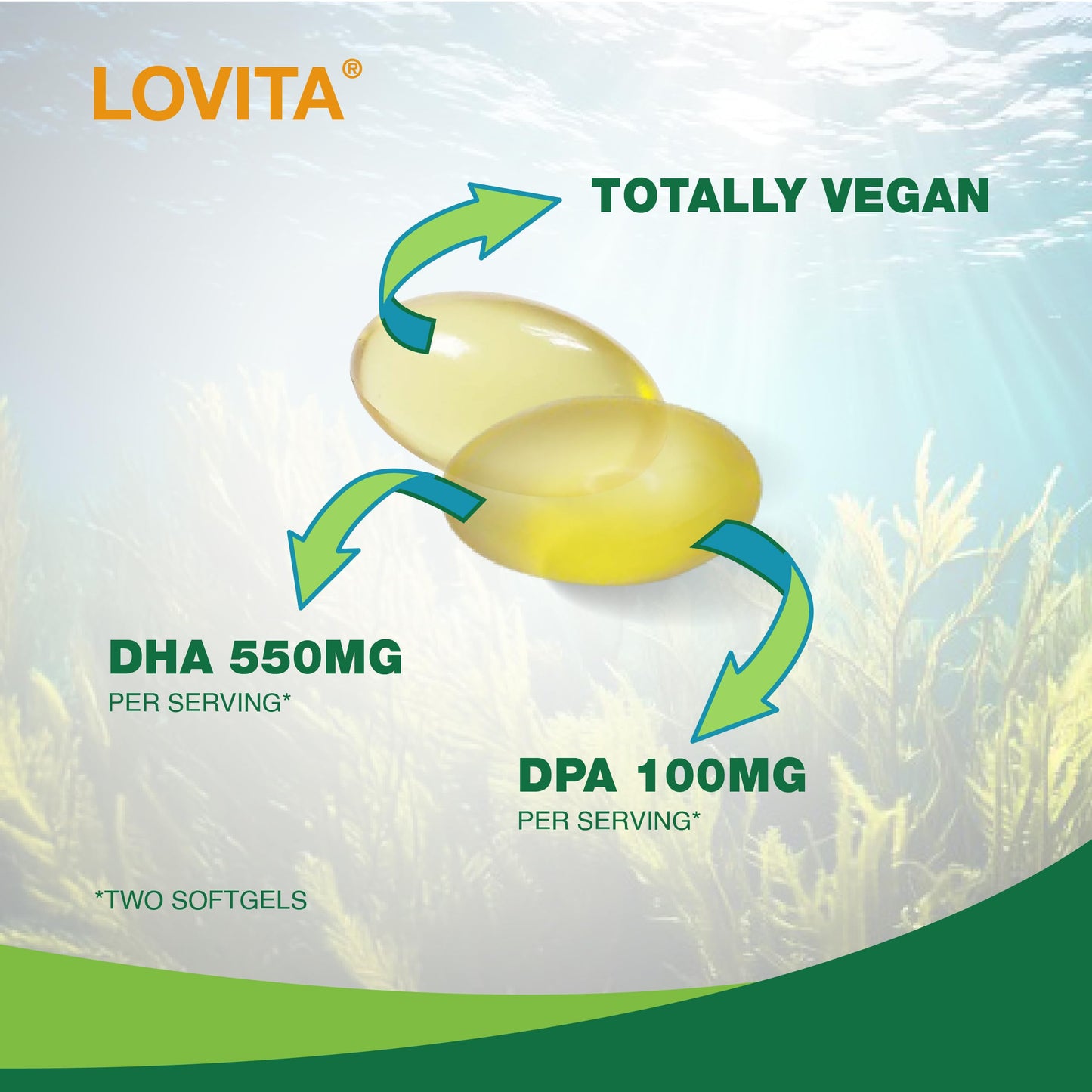 LOVITA Algae Omega-3 Softgels 270