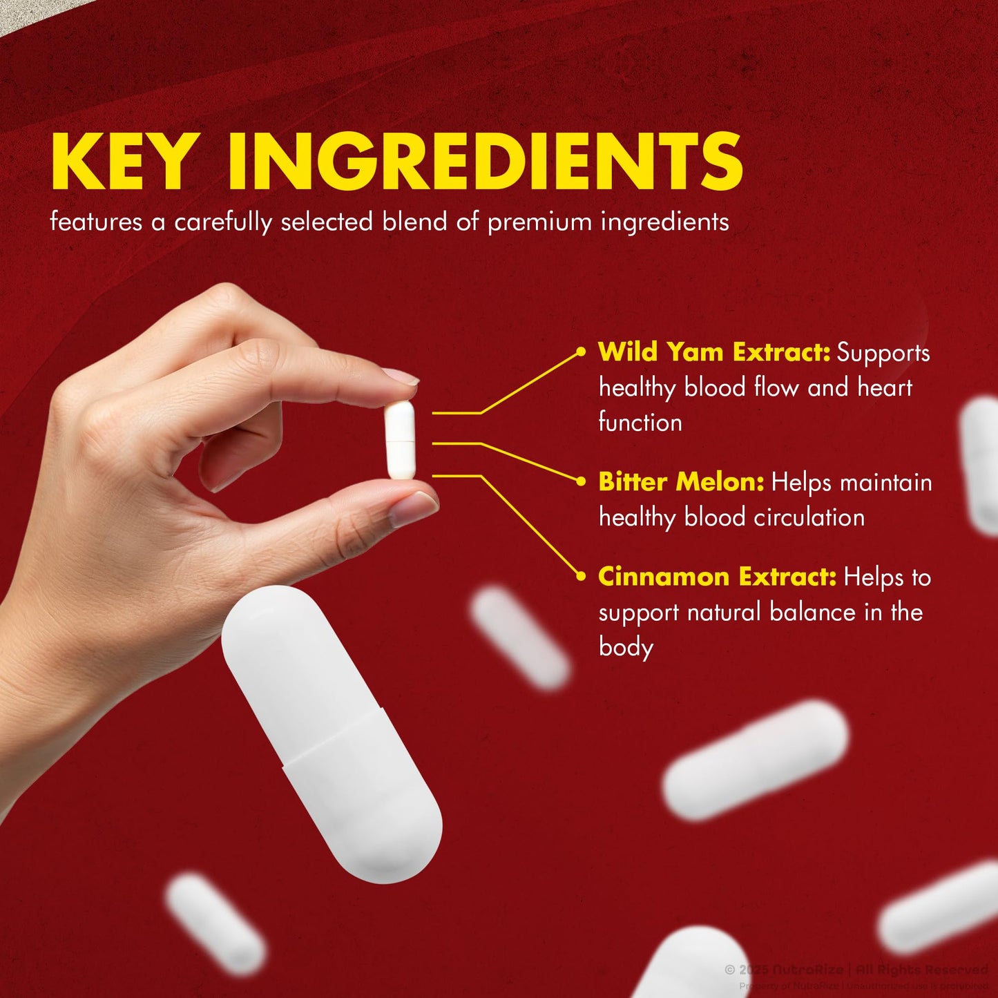 NutraRize Circulife Capsules, 120 Capsules