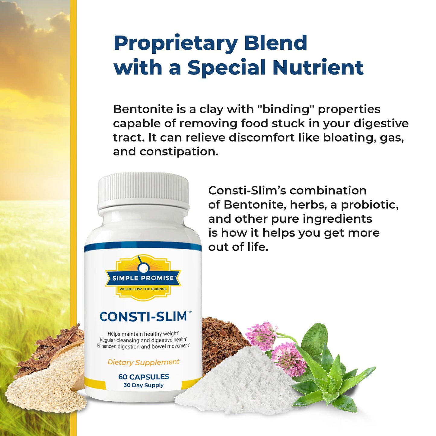 Simple Promise Consti-Slim Digestive Support for Women and Men Psyllium Husk Fiber Capsule, 60 Capsules