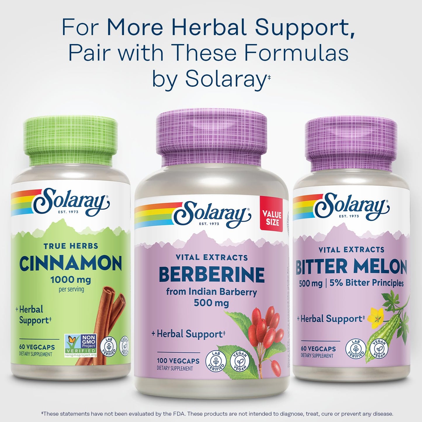 SOLARAY True Herbs Cinnamon Bark 1000mg Capsules, 60 VegCaps