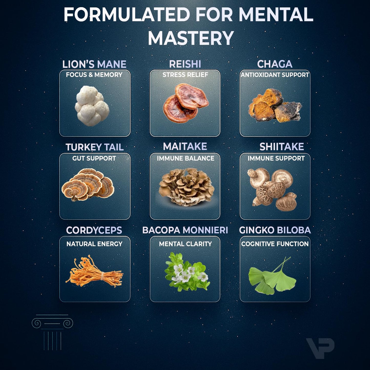 Varipeak 9-In-1 Nootropic Mushroom Gummies with Lion's Mane, Reishi, Chaga, Bacopa Monnieri & Gingko Biloba, 90 Count