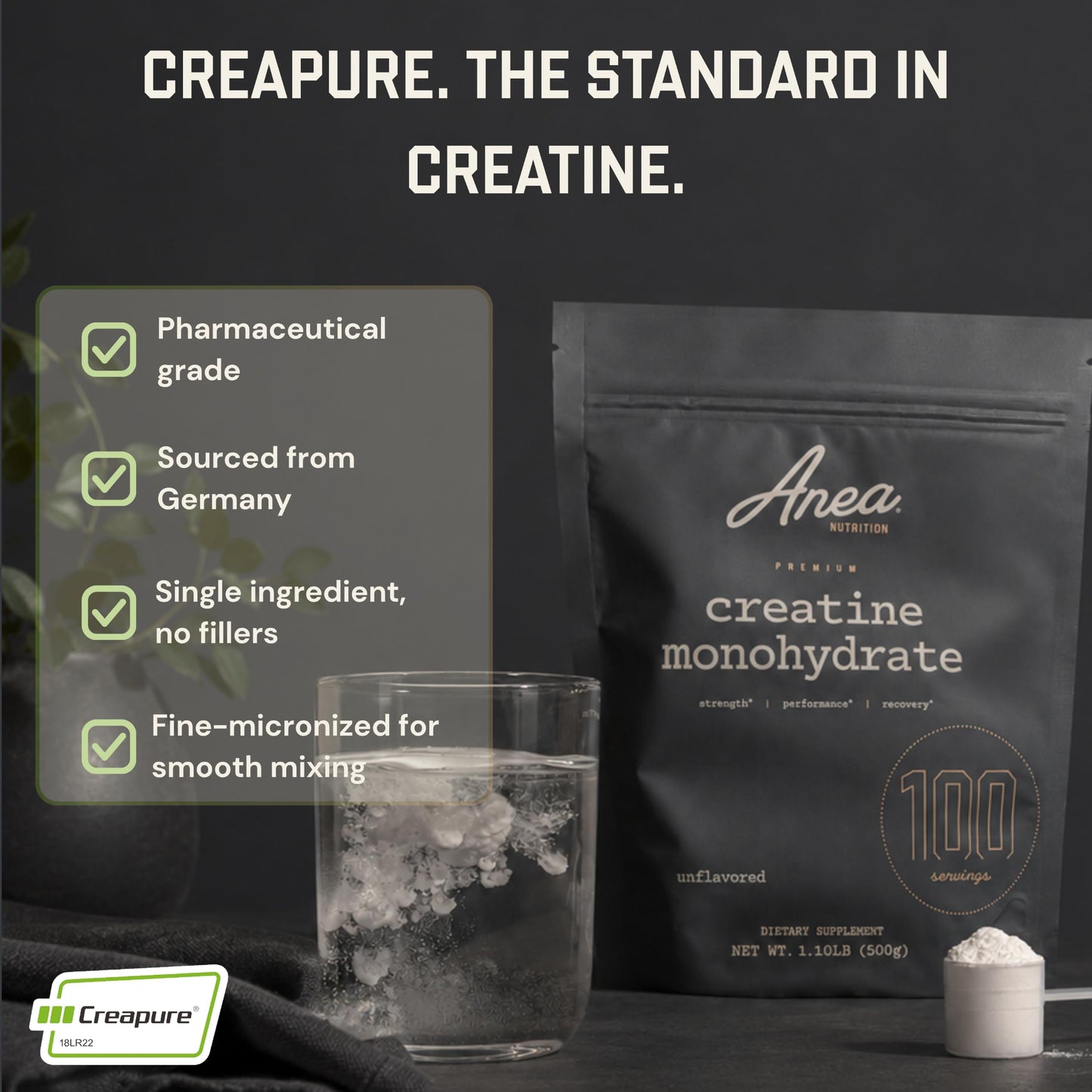 Anea Nutrition Creatine Monohydrate, Micronized, Creapure, Unflavored, 100 Servings Powder, 1.1 lb
