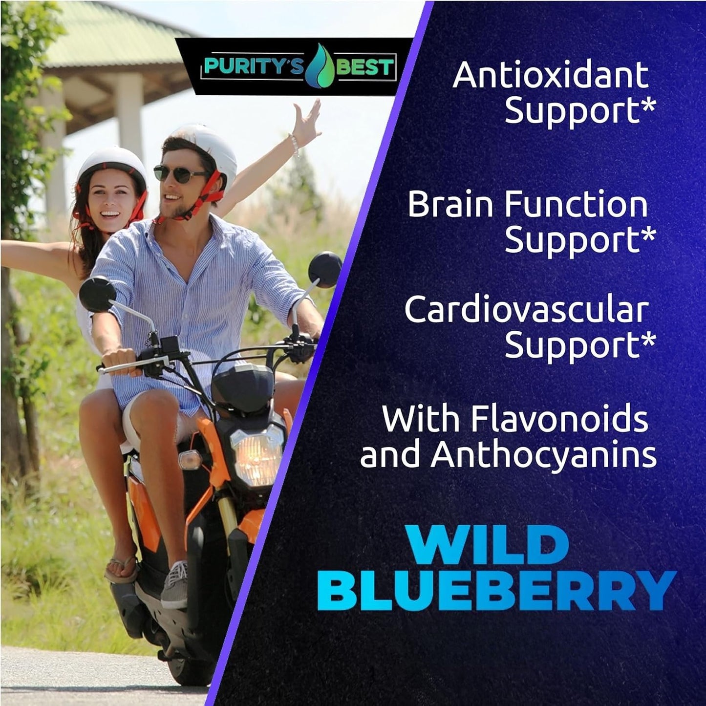 Purity`s Best Wild Blueberry Extract Capsules, 120