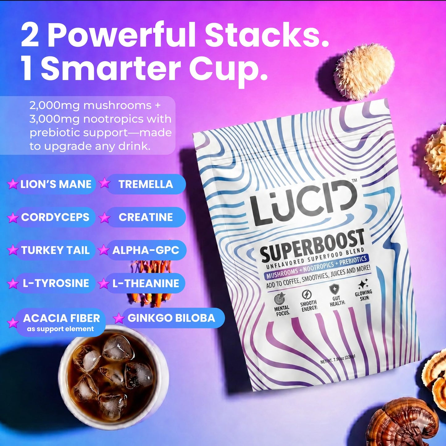 Lucid Superboost Mushroom & Nootropic Blend Powder, 7.94 oz