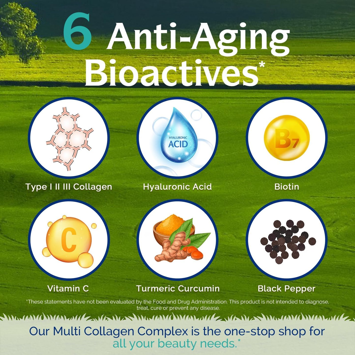 Innate Vitality Multi Collagen Peptides Type I, II, III, Vitamin C, Biotin, Hyaluronic Acid & Turmeric, 2025mg Hydrolyzed Collagen Capsules 60 Capsules