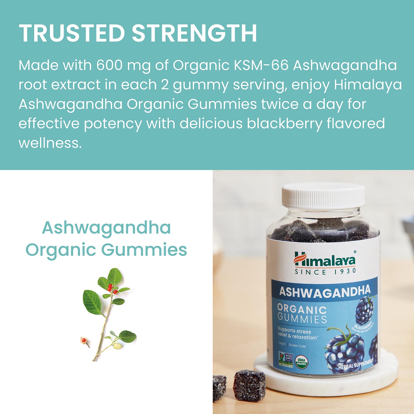 Himalaya KSM-66 Organic Ashwagandha Capsules, 120 Capsules