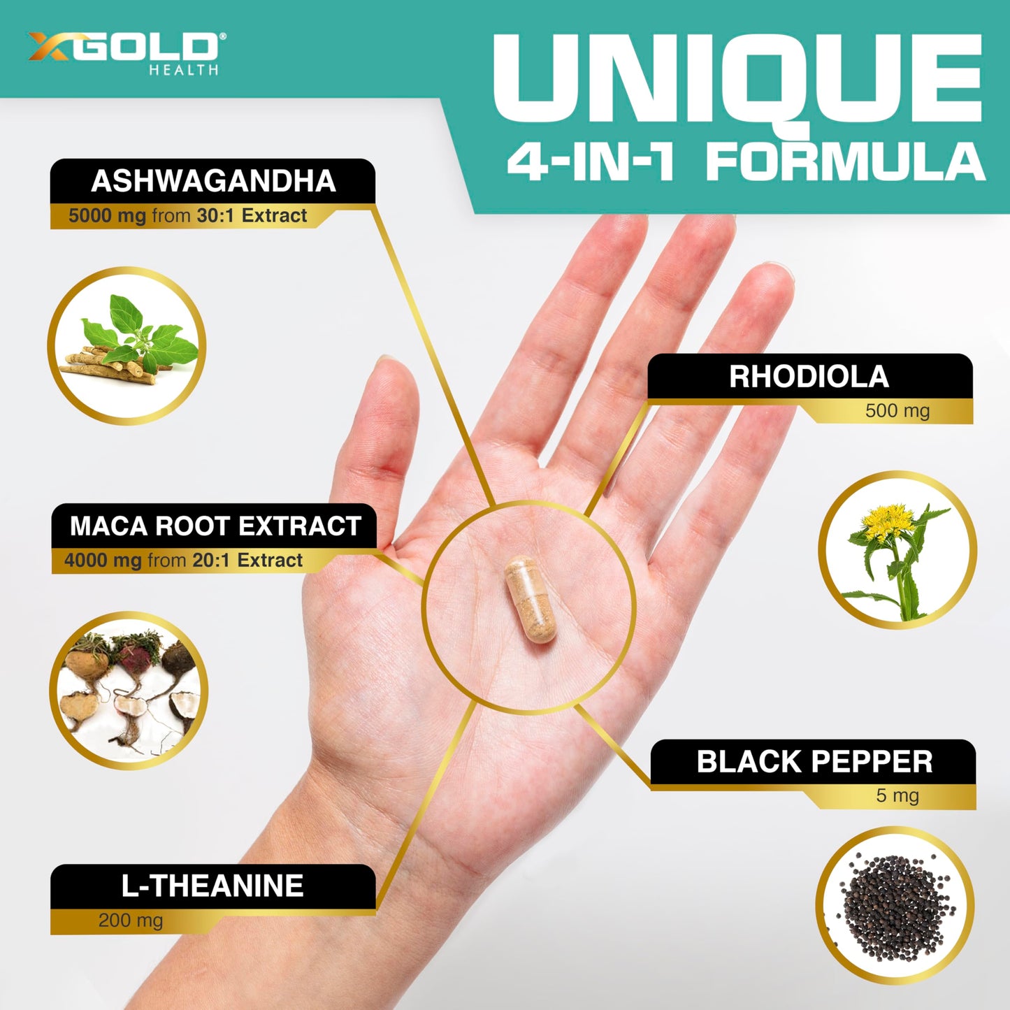 X Gold Health Ashwagandha & Maca Root Capsules with Rhodiola & L-Theanine (30:1 Ashwagandha Extract; 20:1 Maca Root Extract), 120 Capsules