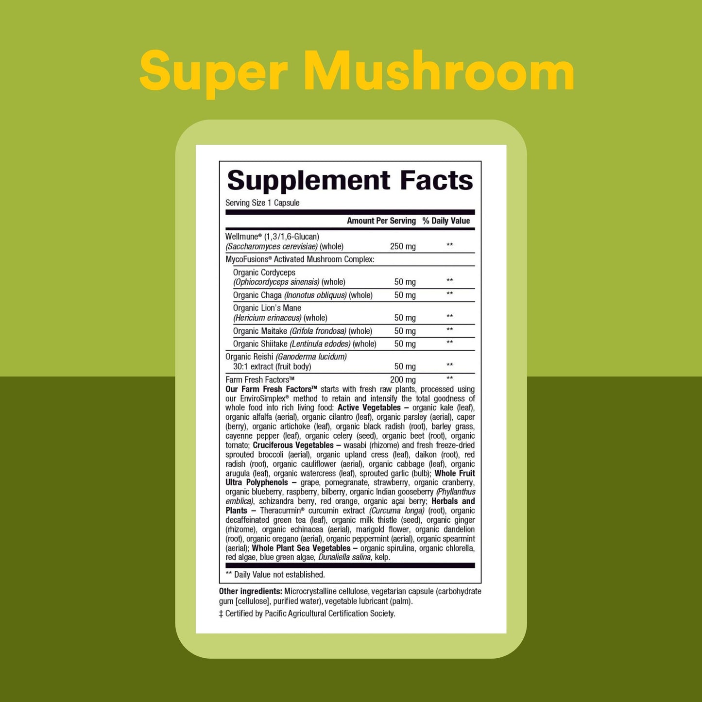 Natural Factors Whole Earth & Sea Super Mushroom - Herbal Supplement with Organic Mushrooms - Mushroom Supplement for Brain & Immune Health, 30 Capsules