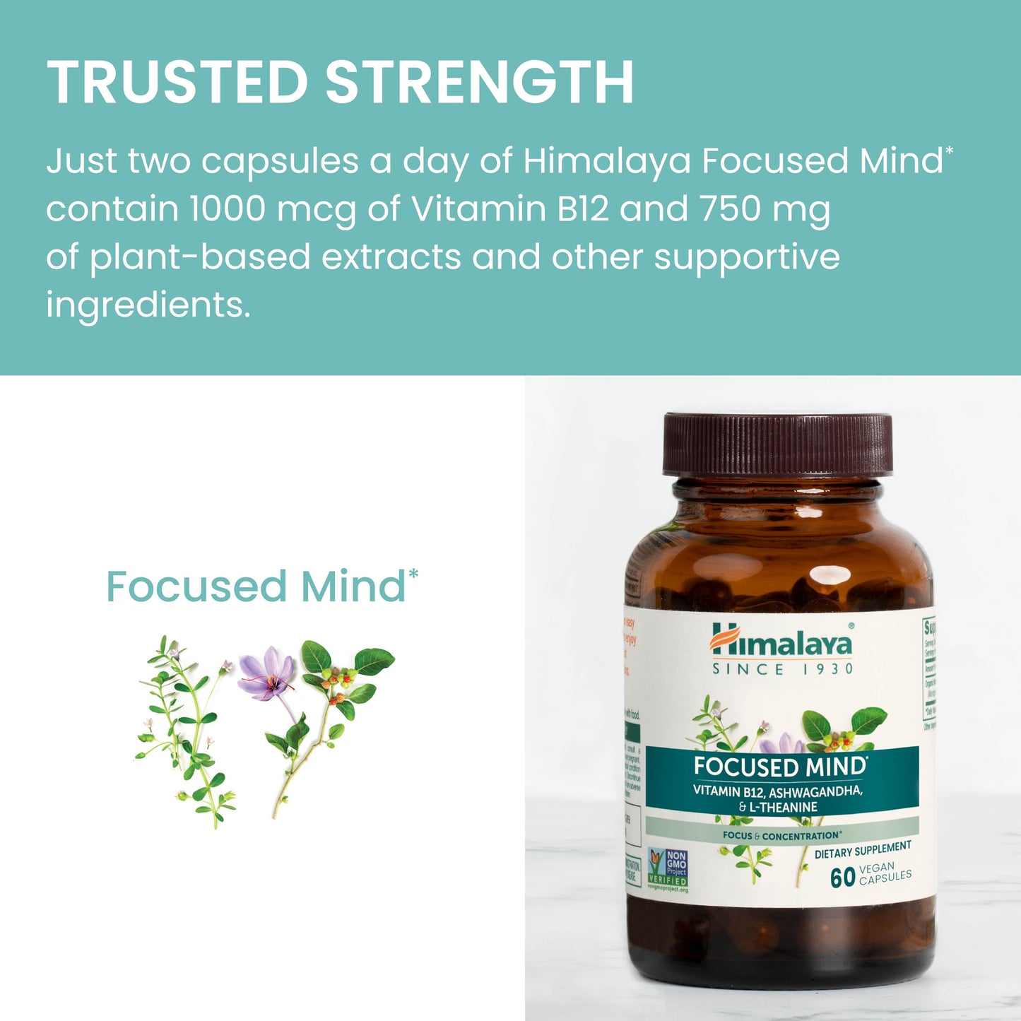 Himalaya Focused Mind Supplement Capsule, 60 Count