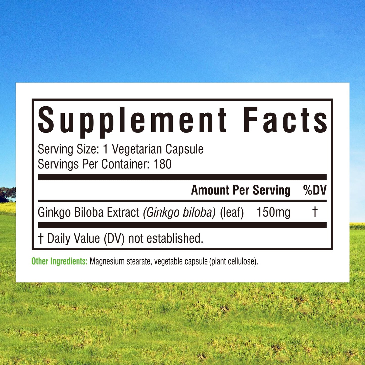 Innate Vitality Ginkgo Biloba 150 mg Capsule, 180 Count