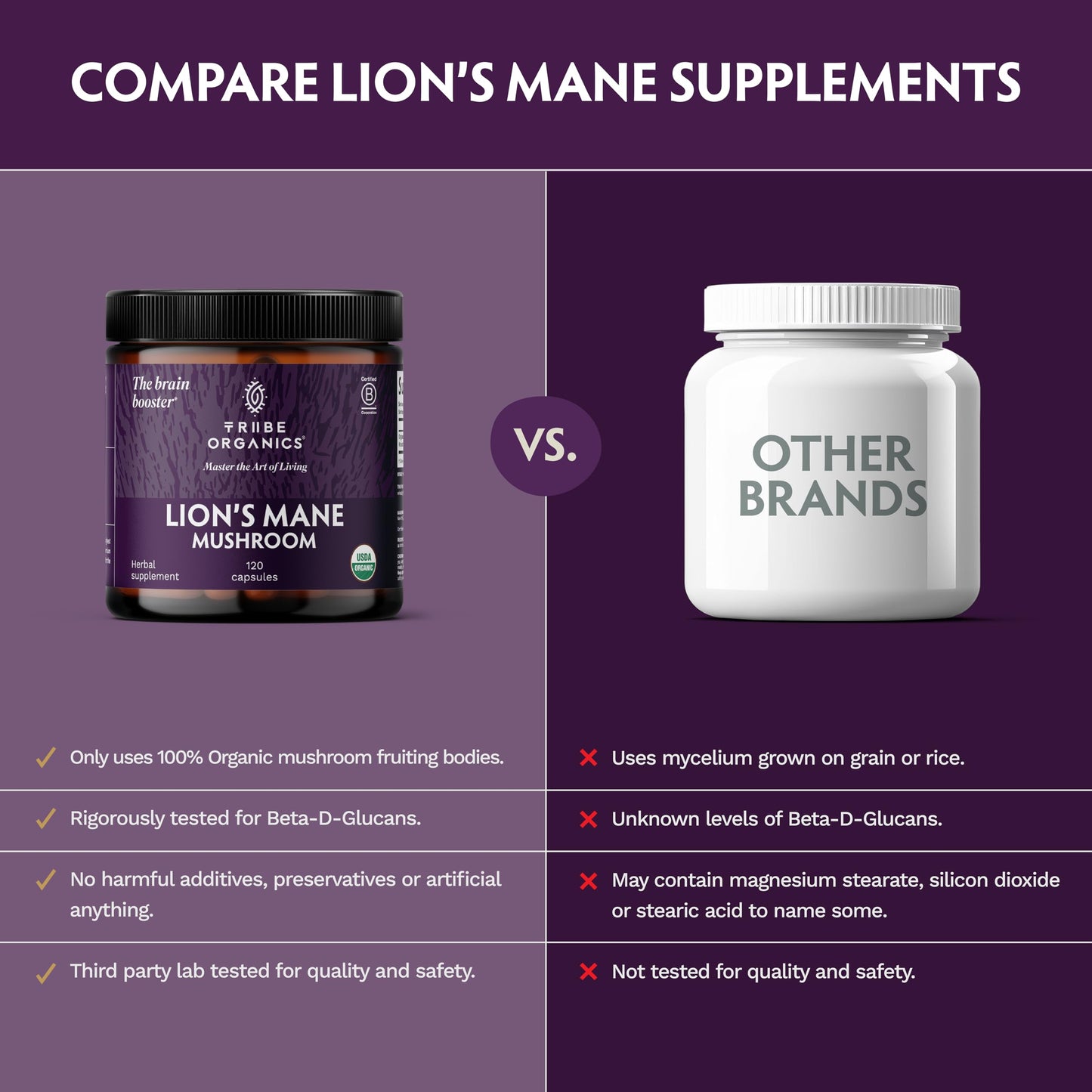 TRIBE ORGANICS Lion’s Mane Supplement 1000mg Mushroom Extract Powder, 120 Capsules