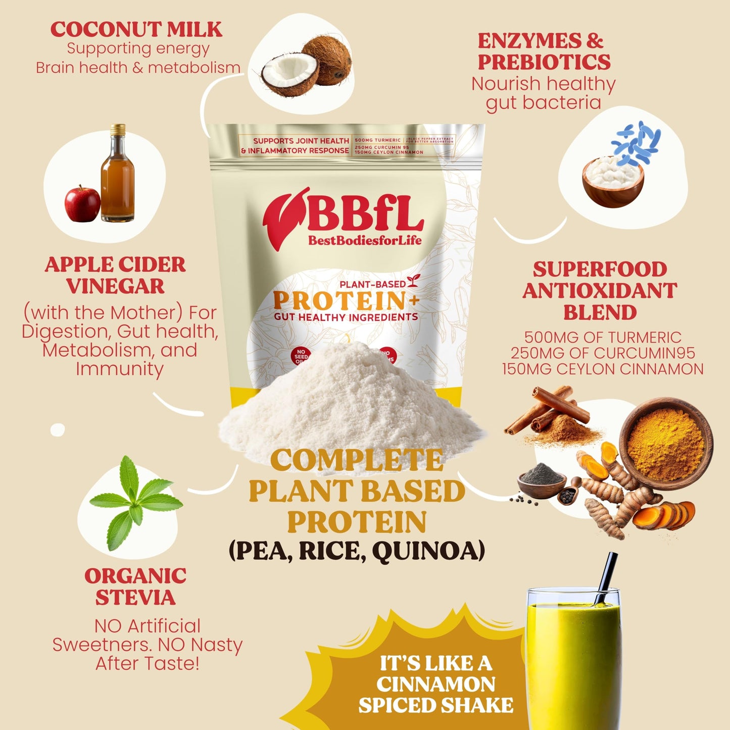 BBfL Plant-Based Protein Shake Powder 14.7 oz – 21g Vegan Protein, Turmeric + Curcumin 95 + Ceylon Cinnamon, Prebiotics, Digestive Enzymes, All-in-One Shake, Supports Inflammatory Response, 15 Servings