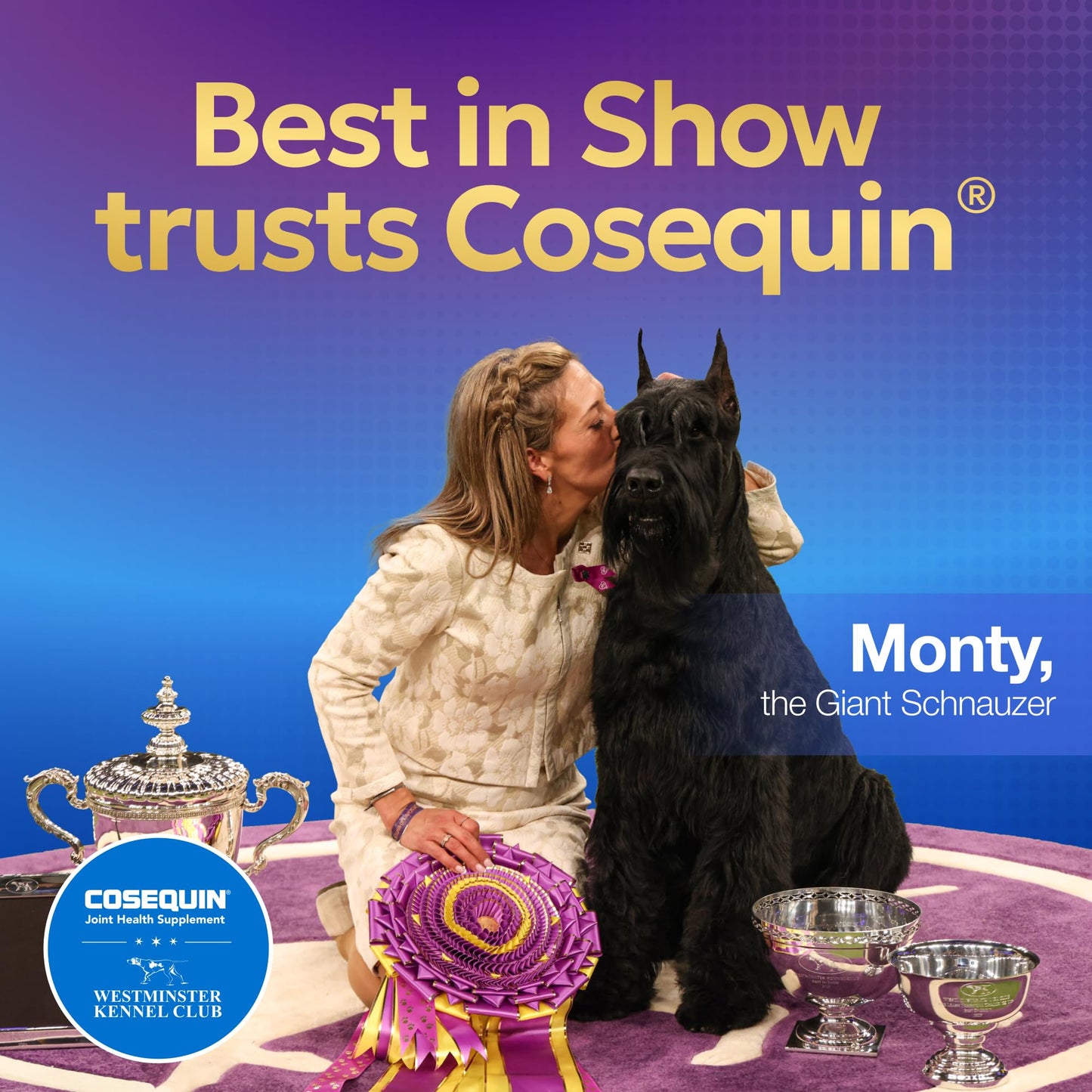 Nutramax Laboratories Cosequin for Small Dogs Soft Chews 90 Count