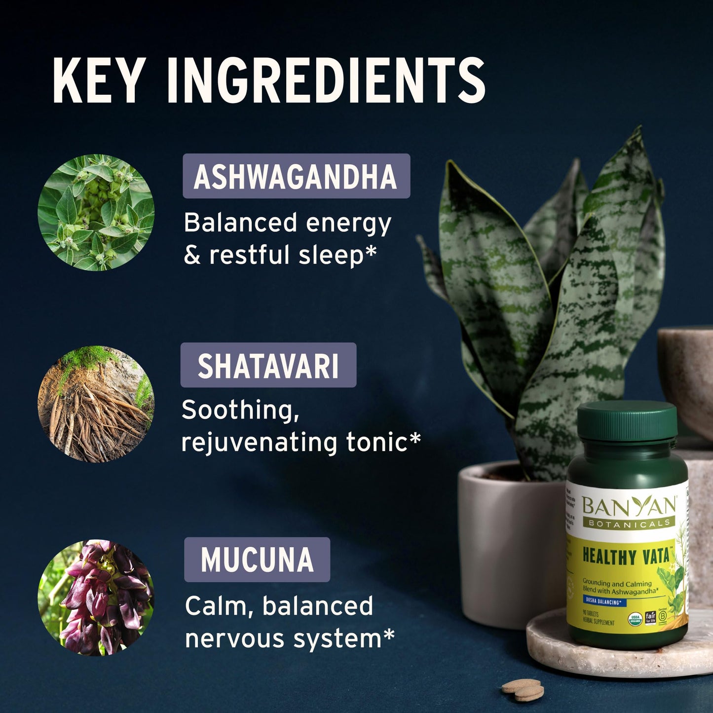 Banyan Botanicals Organic Healthy Vata Grounding & Stability Supplement with Ashwagandha, Shatavari & Mucuna, 90 Tablets