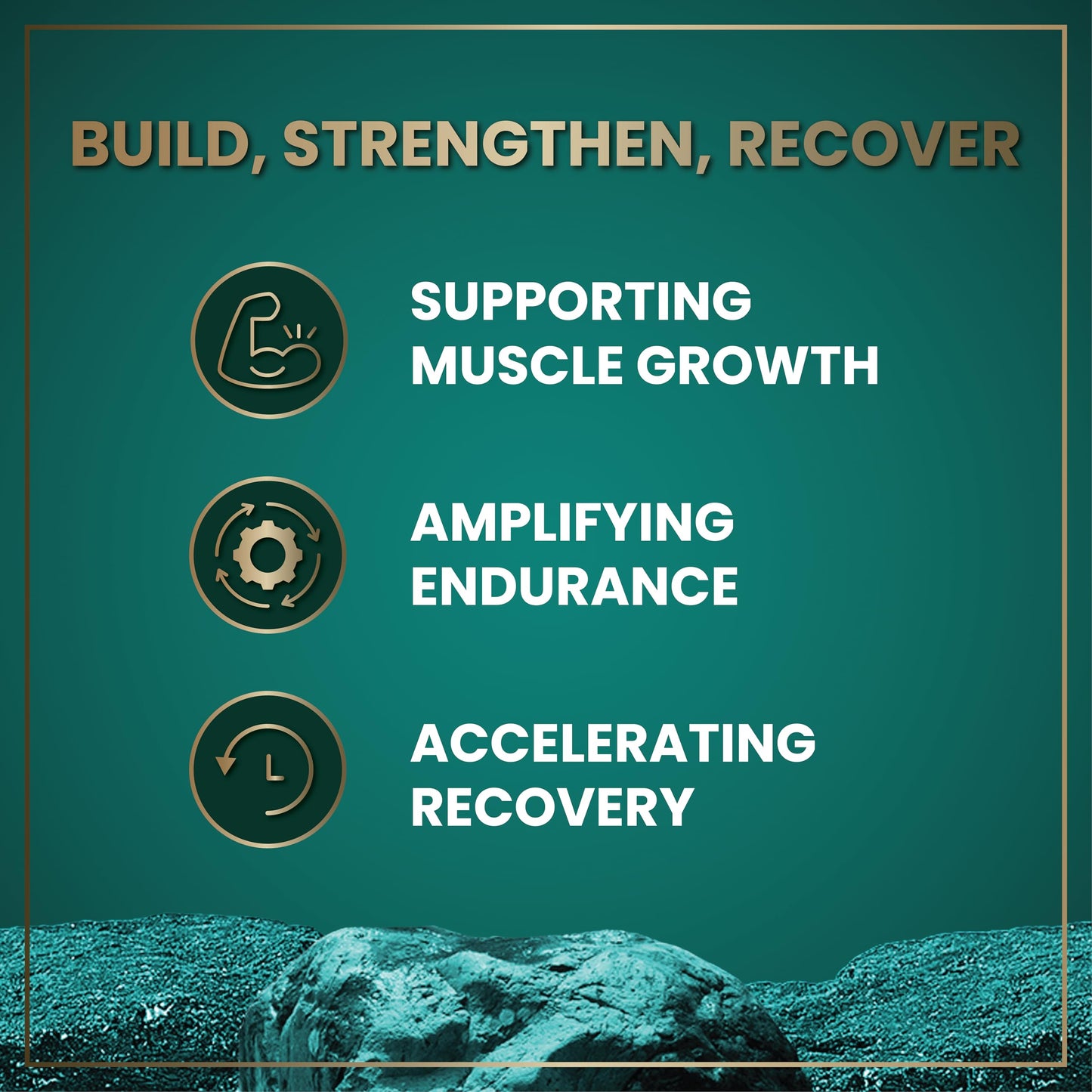 WILD FUEL HMB and Vitamin D3 Supplement Capsules 360 Capsules