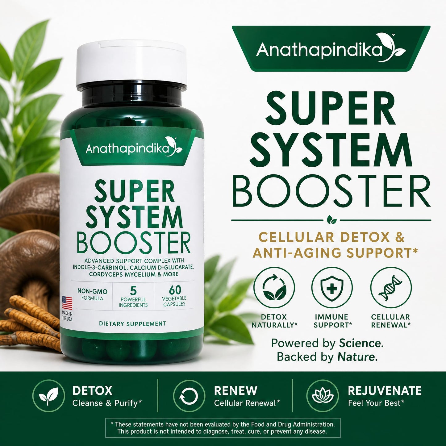 Anathapindika Health Super System Booster 5-in-1 Cleansing, Detox and Antioxidants, Capsule, 120 Count