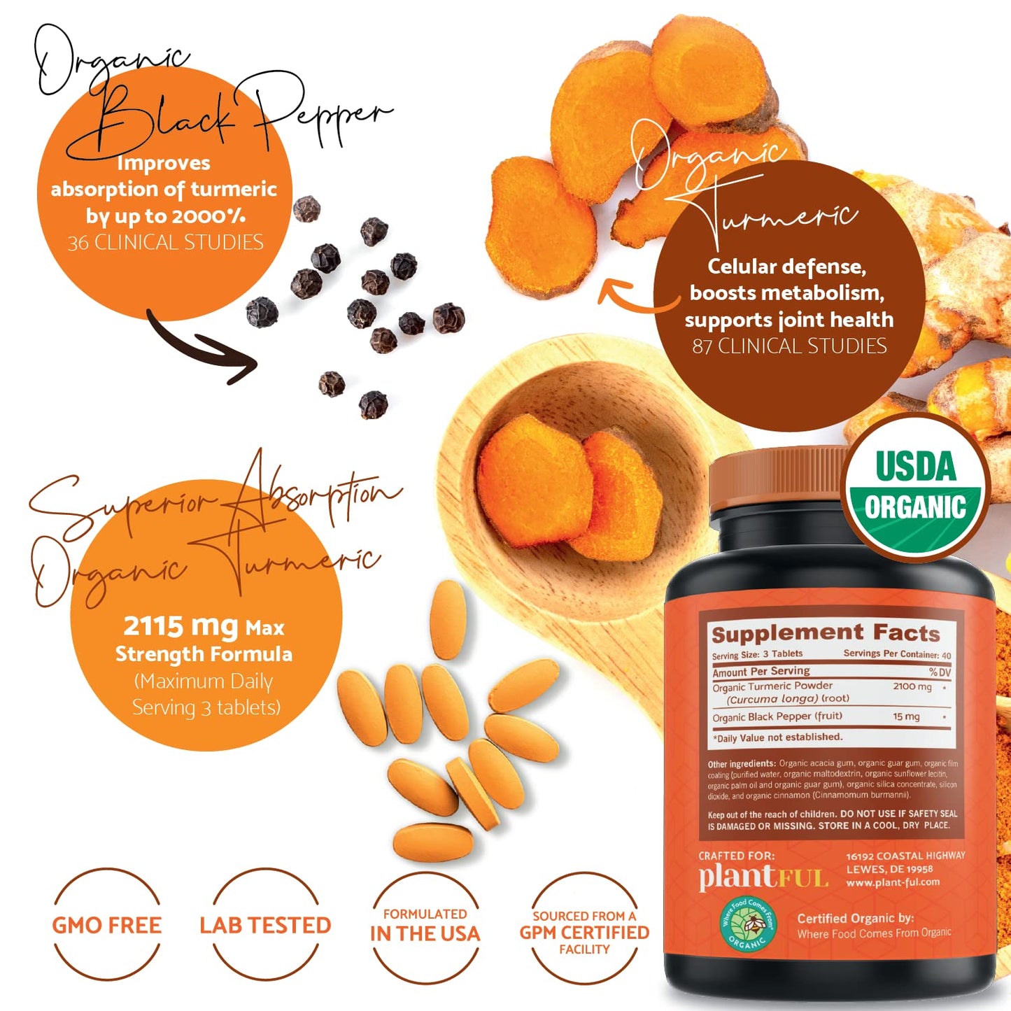 PLANTFUL RESEARCH Organic Turmeric Curcumin with Black Pepper Tablets, 120 Tablets