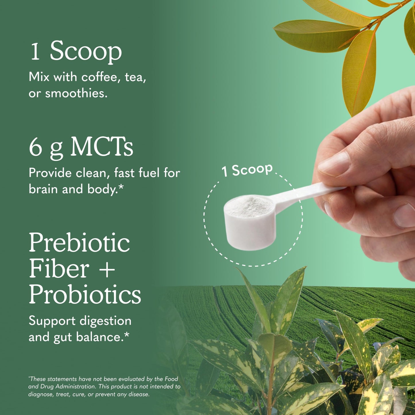 Garden of Life Dr. Formulated Organic MCT Powder with MCTs from Coconuts, Prebiotic Fiber & Probiotics, 10.58 Ounce