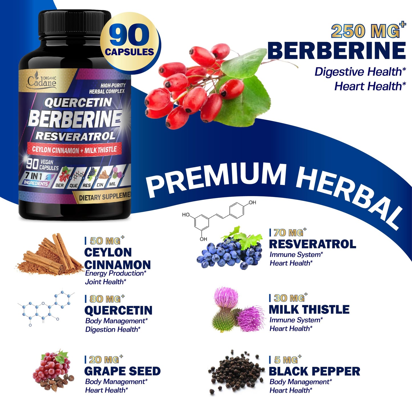 Organic Cadane 7in1 Pure Berberine Supplement with Quercetin, Ceylon Cinnamon, Resveratrol, Milk Thistle, Grape Seed, and Black Pepper, 90 Capsules