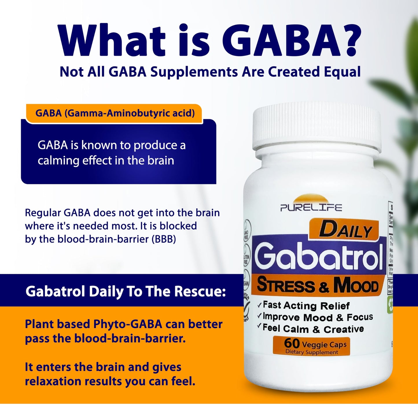 PureLife Supplements Gabatrol Daily Plant-Based GABA Supplement Capsule 60 Count