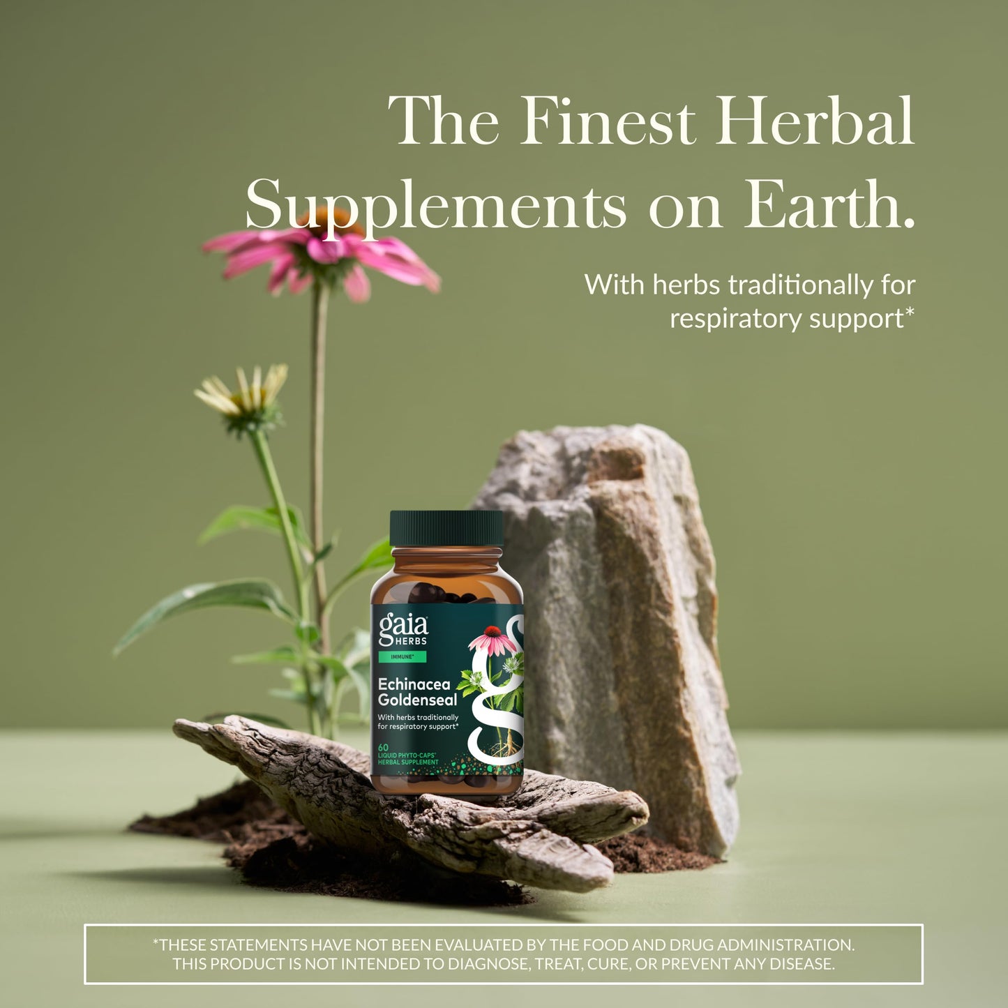 Gaia Herbs Echinacea Goldenseal Capsules 60 Count