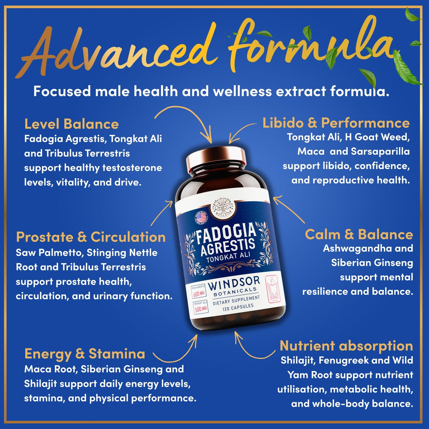 WINDSOR BOTANICALS Fadogia Agrestis and Tongkat Ali Supplement Capsules, 120-Count