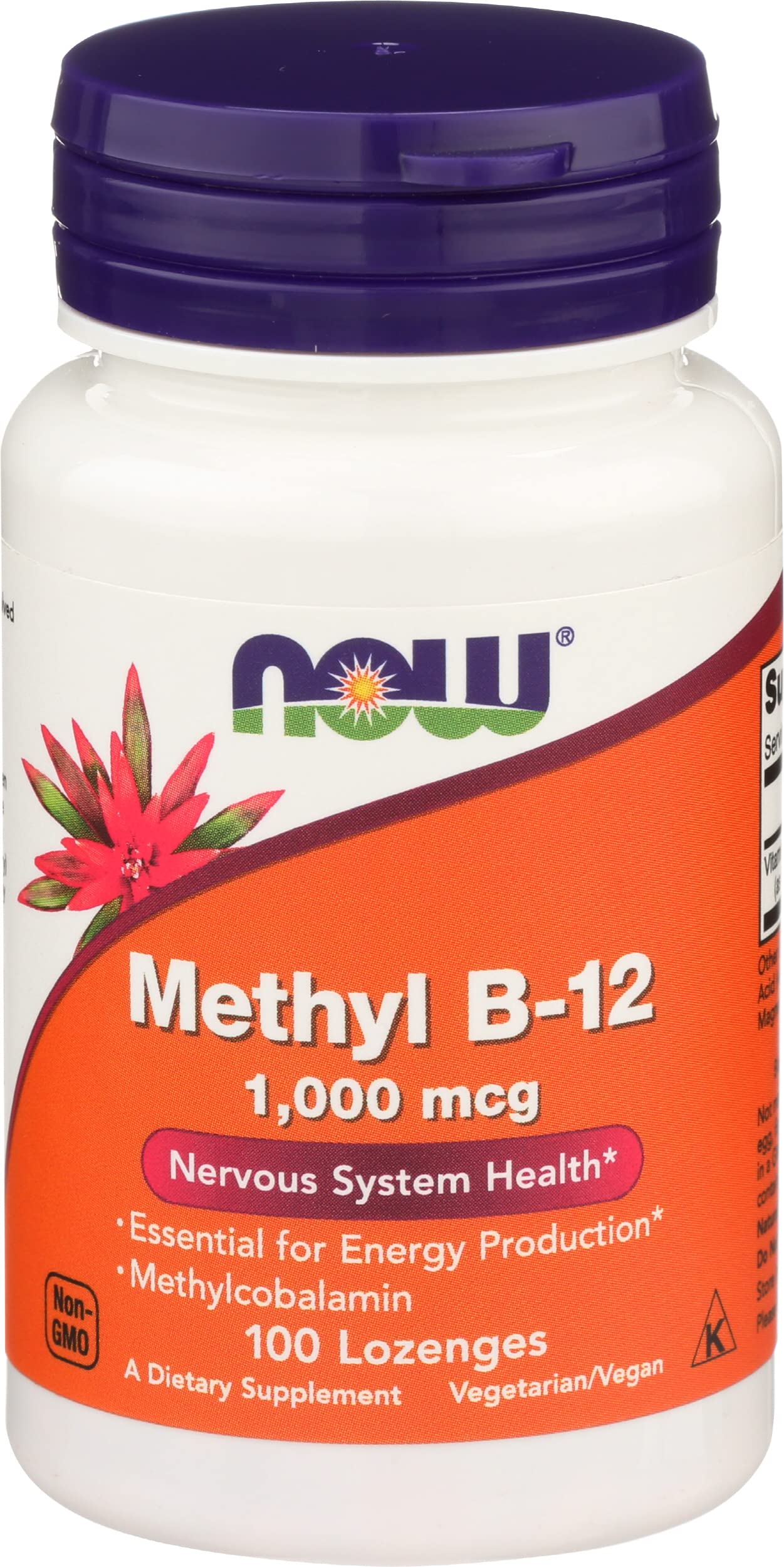 NOW Foods Brain B-12 Capsule, 100 Count