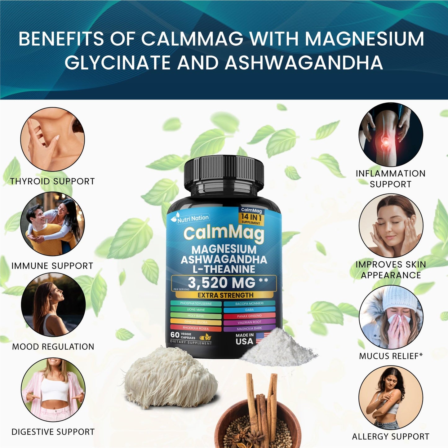 Nutri Nation Magnesium Glycinate with Ashwagandha and L-Theanine 14 in 1 Supplement Capsule, 1 Count