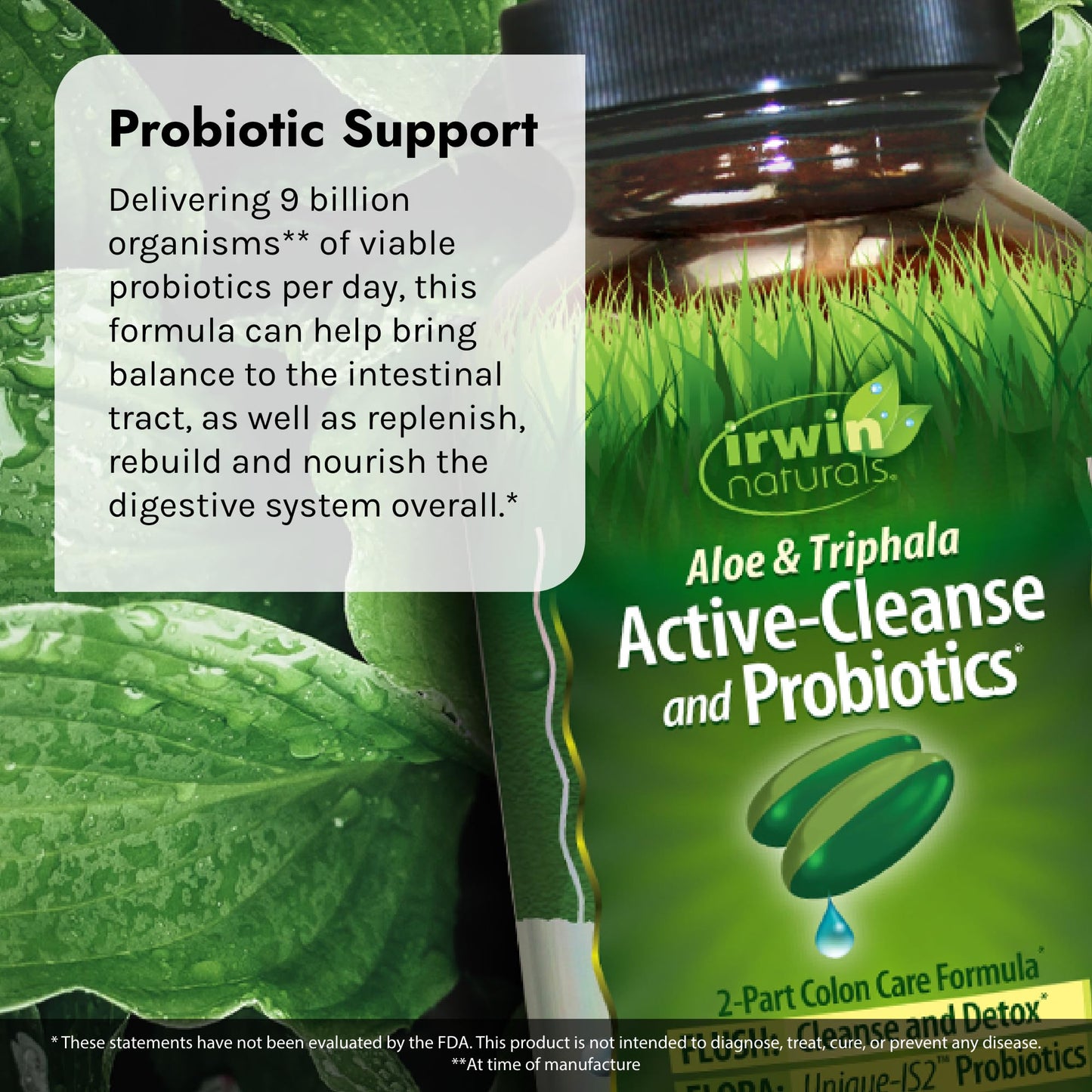 Irwin Naturals Aloe & Triphala Active Cleanse + Probiotics Softgels, 60 Count