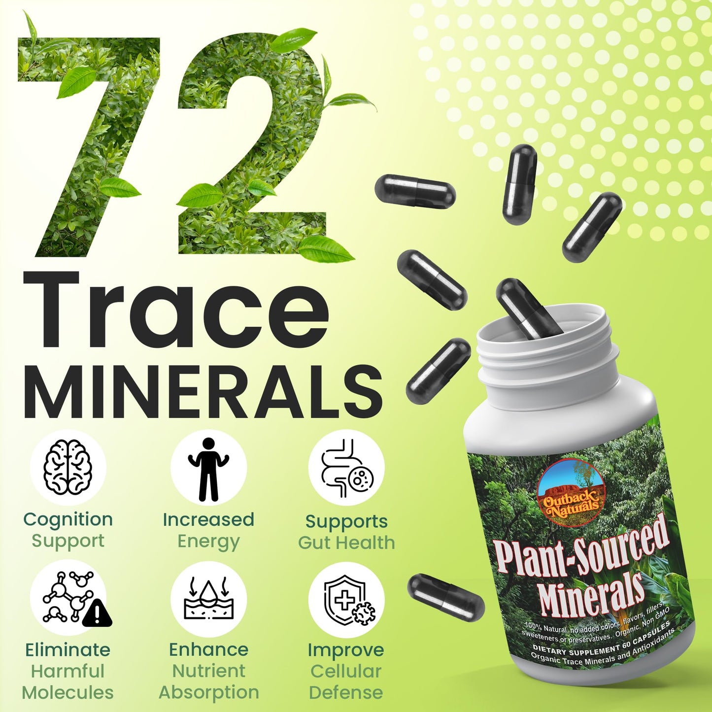 Outback Naturals Plant-Sourced Minerals, Organic Natural Trace Minerals and Antioxidants, 60 Capsules