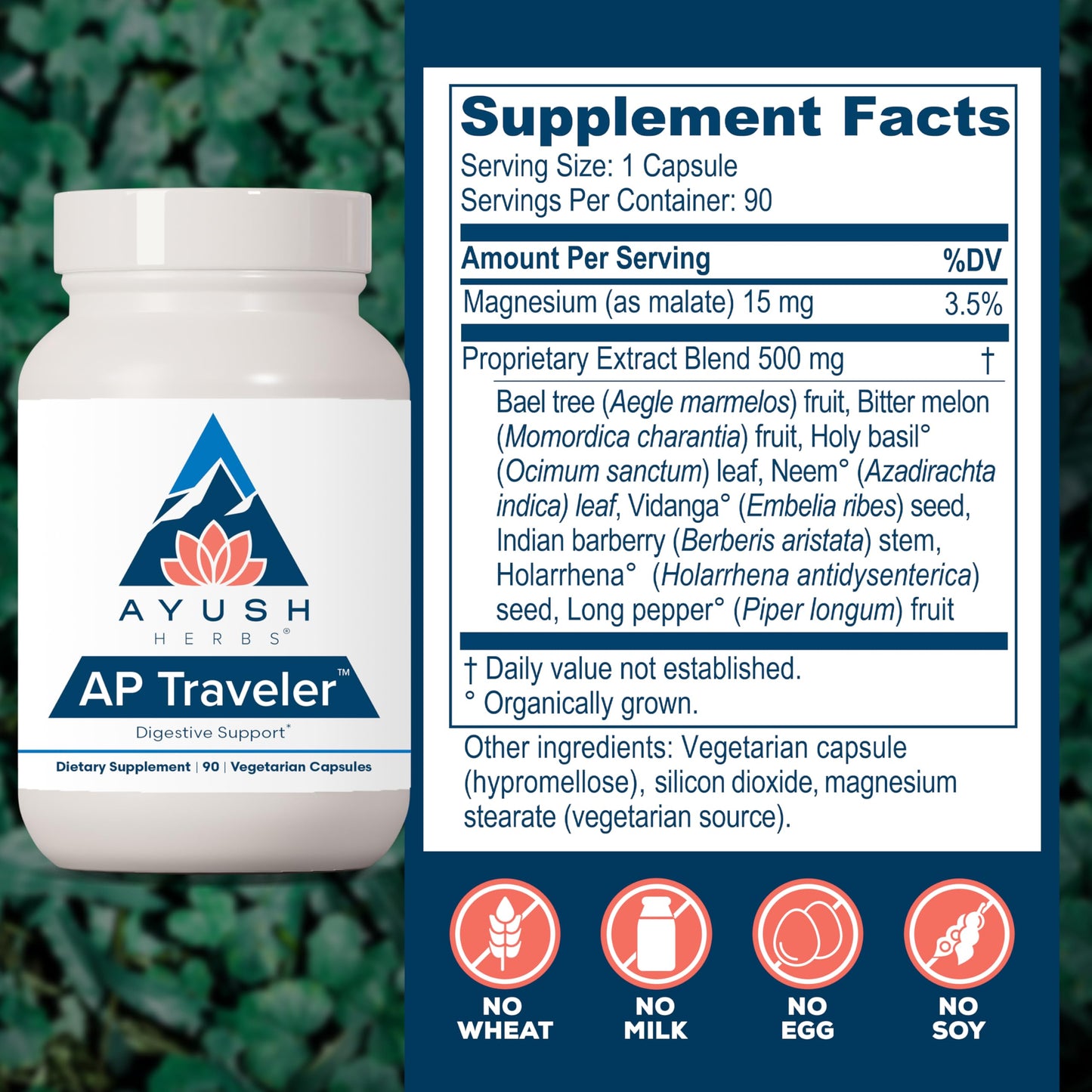 Ayush Herbs AP Traveler Digestive Support with Holy Basil & Neem, 90 Capsules