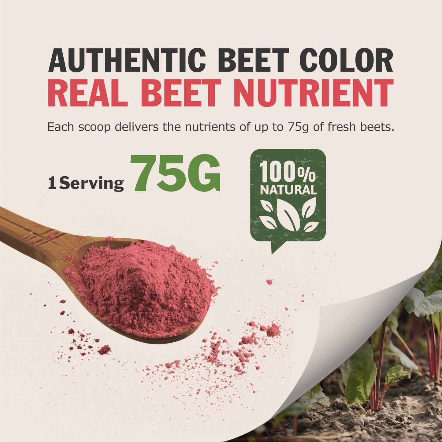 BLACK HUT Organic Red Beet Root Powder 7.06 oz