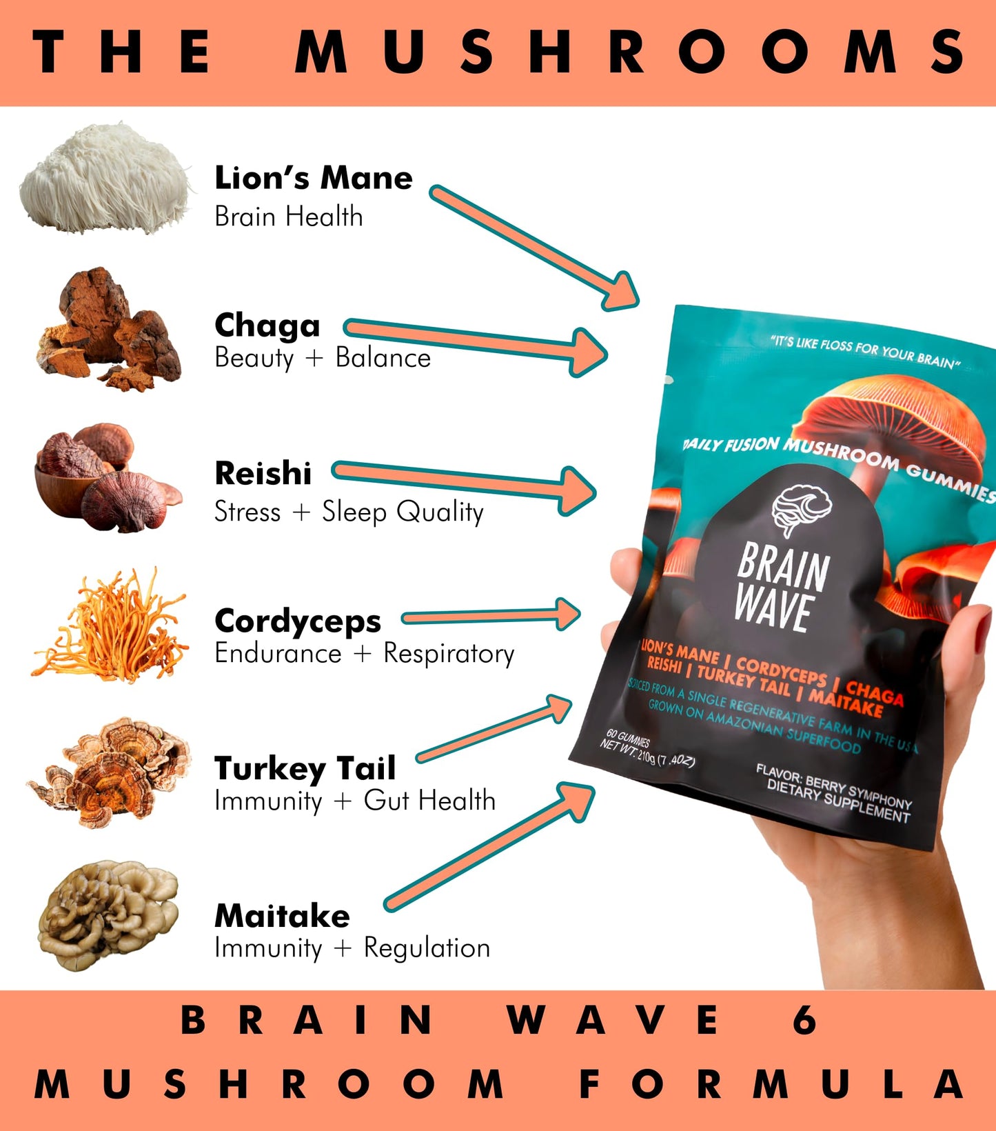 BRAIN WAVE Superfood Mushroom Gummies, 60 Count