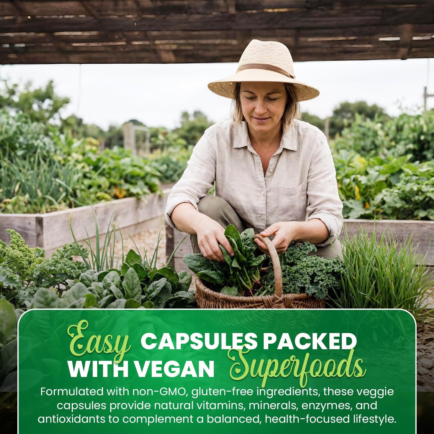 Greens+ Organic Superfood Capsules, 240 Count