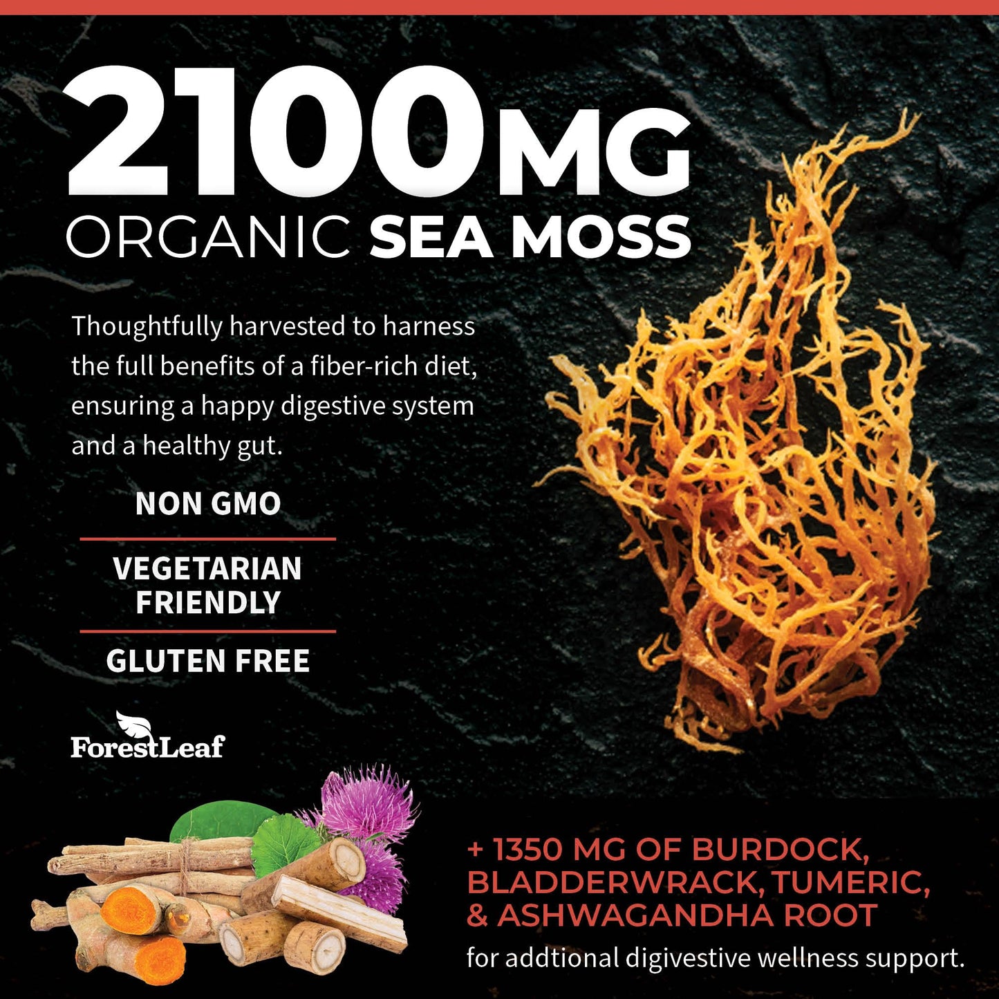 ForestLeaf Organic Irish Sea Moss Capsules 90 Count