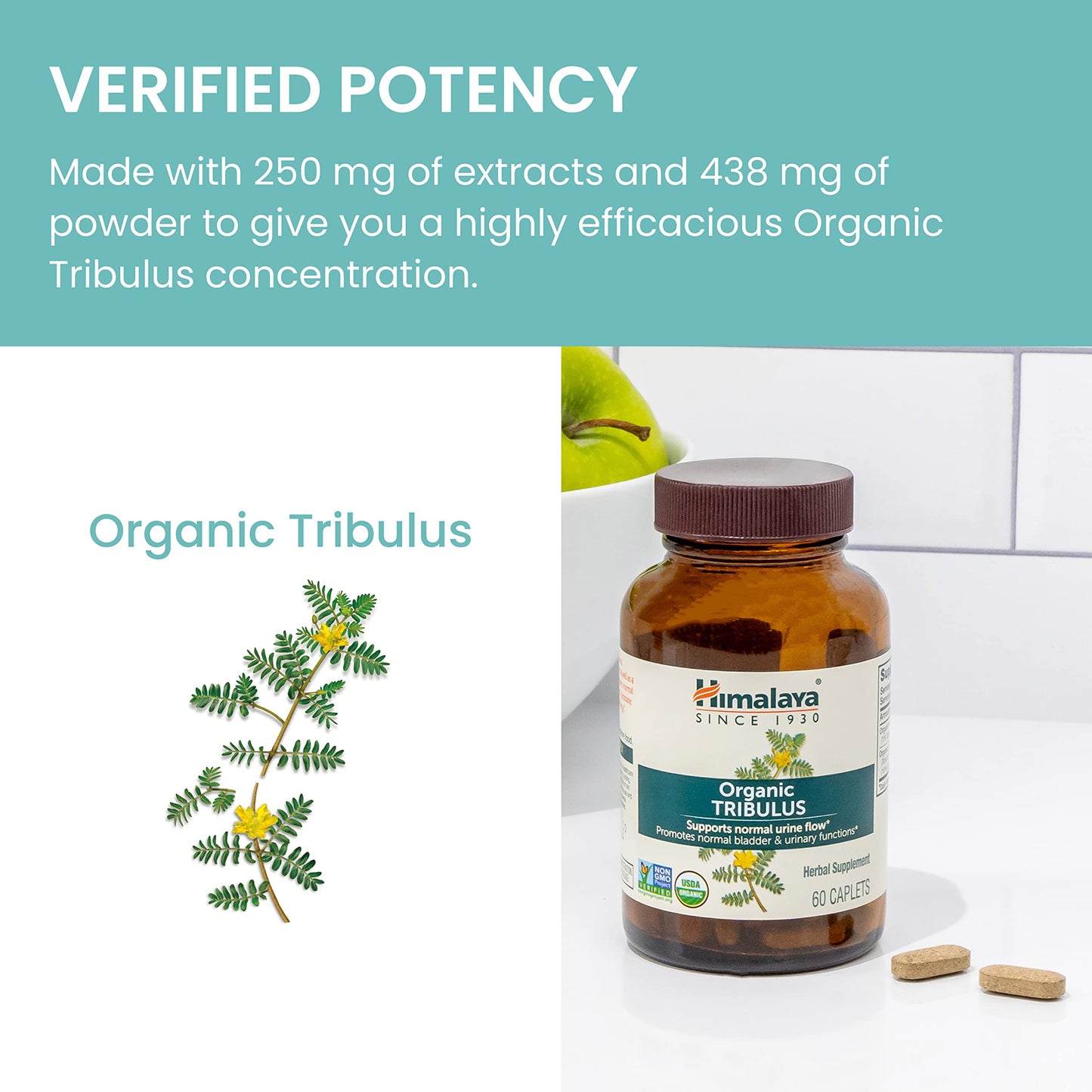 Himalaya Organic Tribulus Terrestris Caplets 60 Count