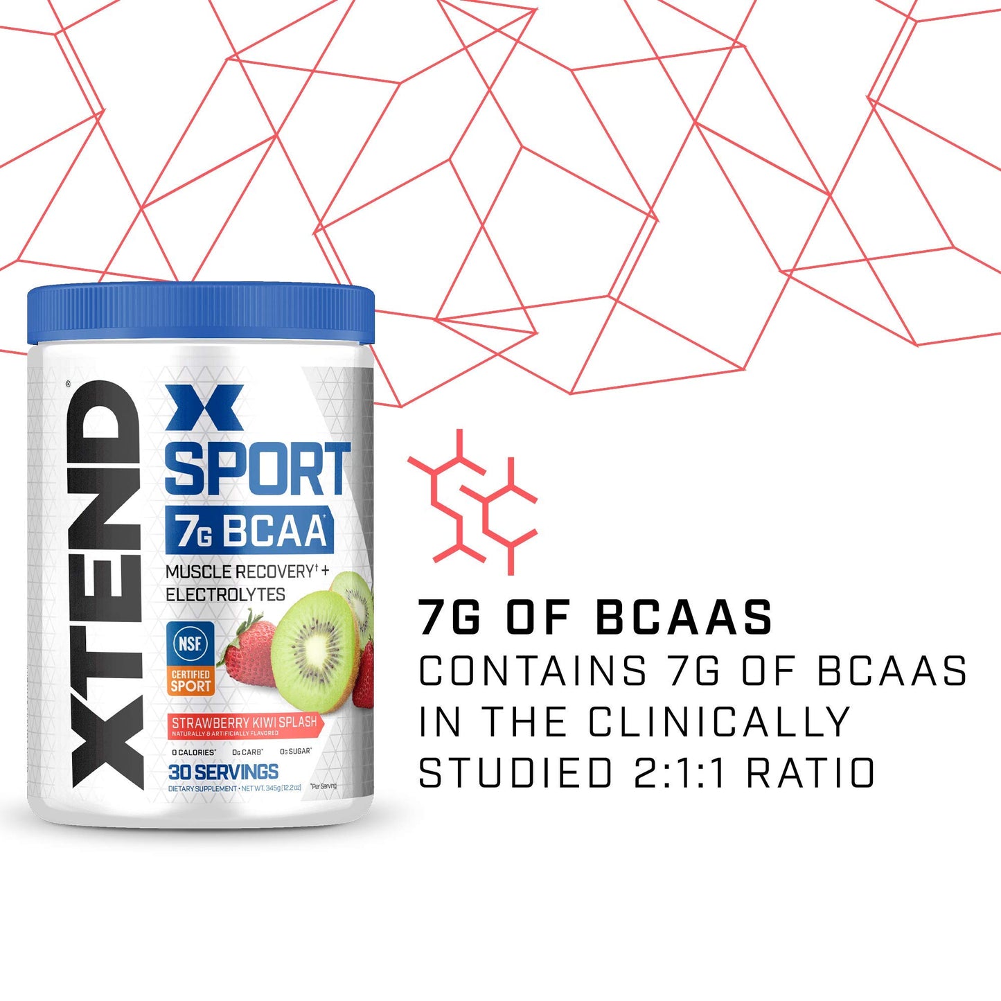 XTEND Sport BCAA Powder 2-Pack, 60 Servings