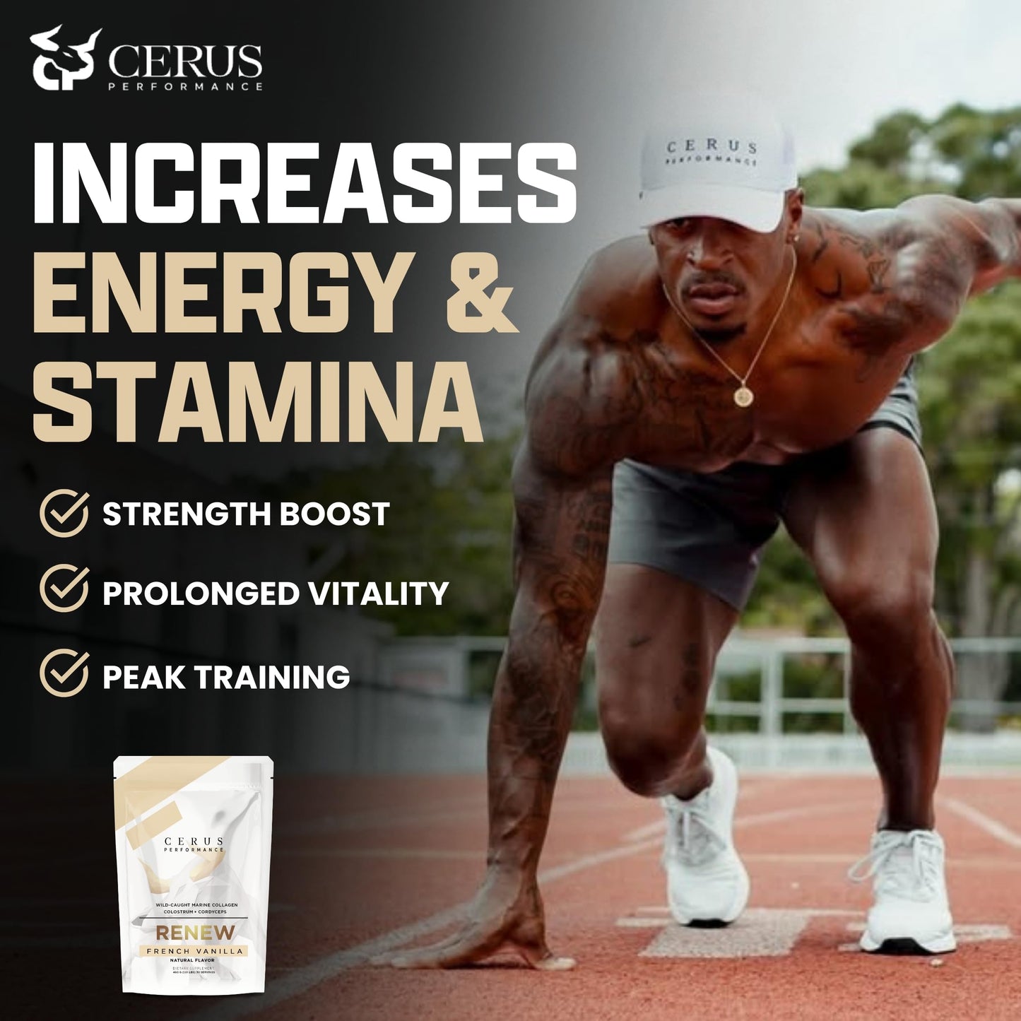 Cerus Performance Renew Premium Athletic Blend Powder 1.01 lb