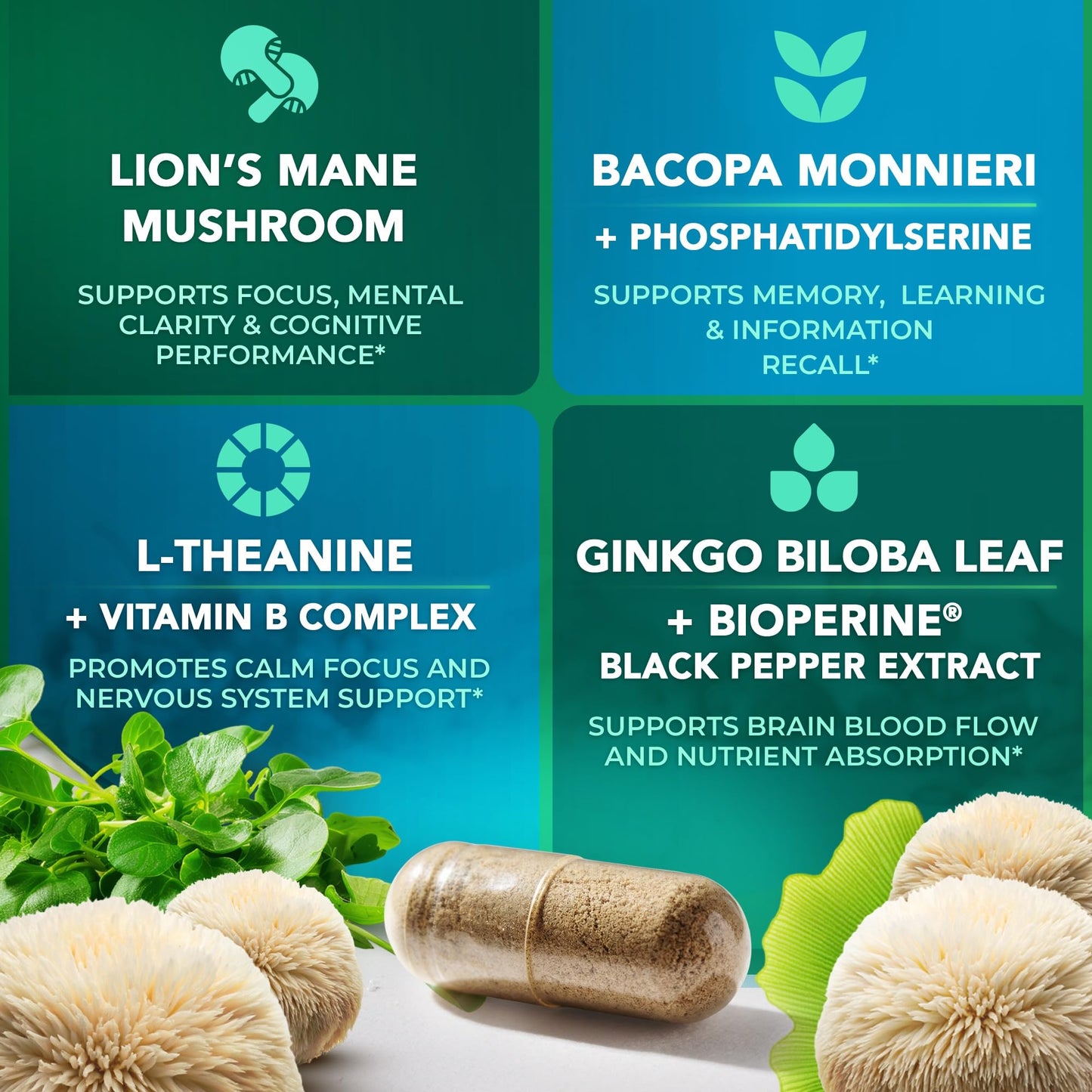 NutriFact Lions Mane Supplement Capsule 60 Capsules