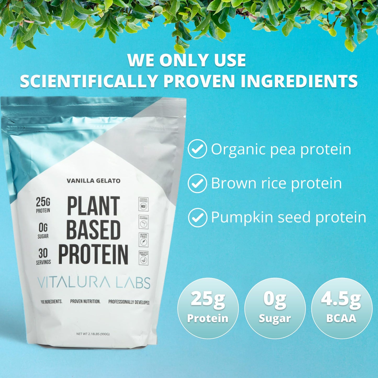 Vitalura Labs Plant-Based Protein Powder Vanilla Gelato, 30 Servings