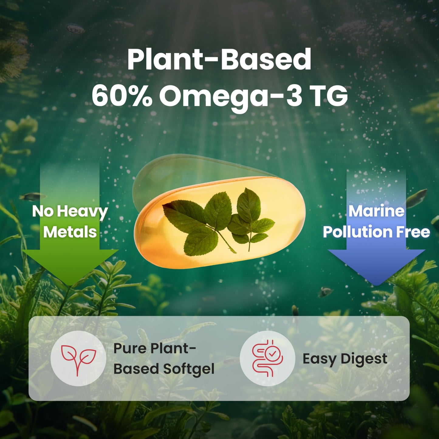 DAEWON HEALTH Vegan Omega-3 + Vitamin D3 & E Algal Oil TG Form DHA EPA, Heart, Brain & Eye Support, 30 Softgels