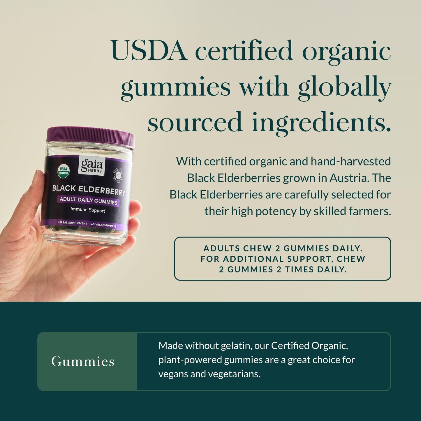 Gaia Herbs Black Elderberry Adult Daily 40 Gummies