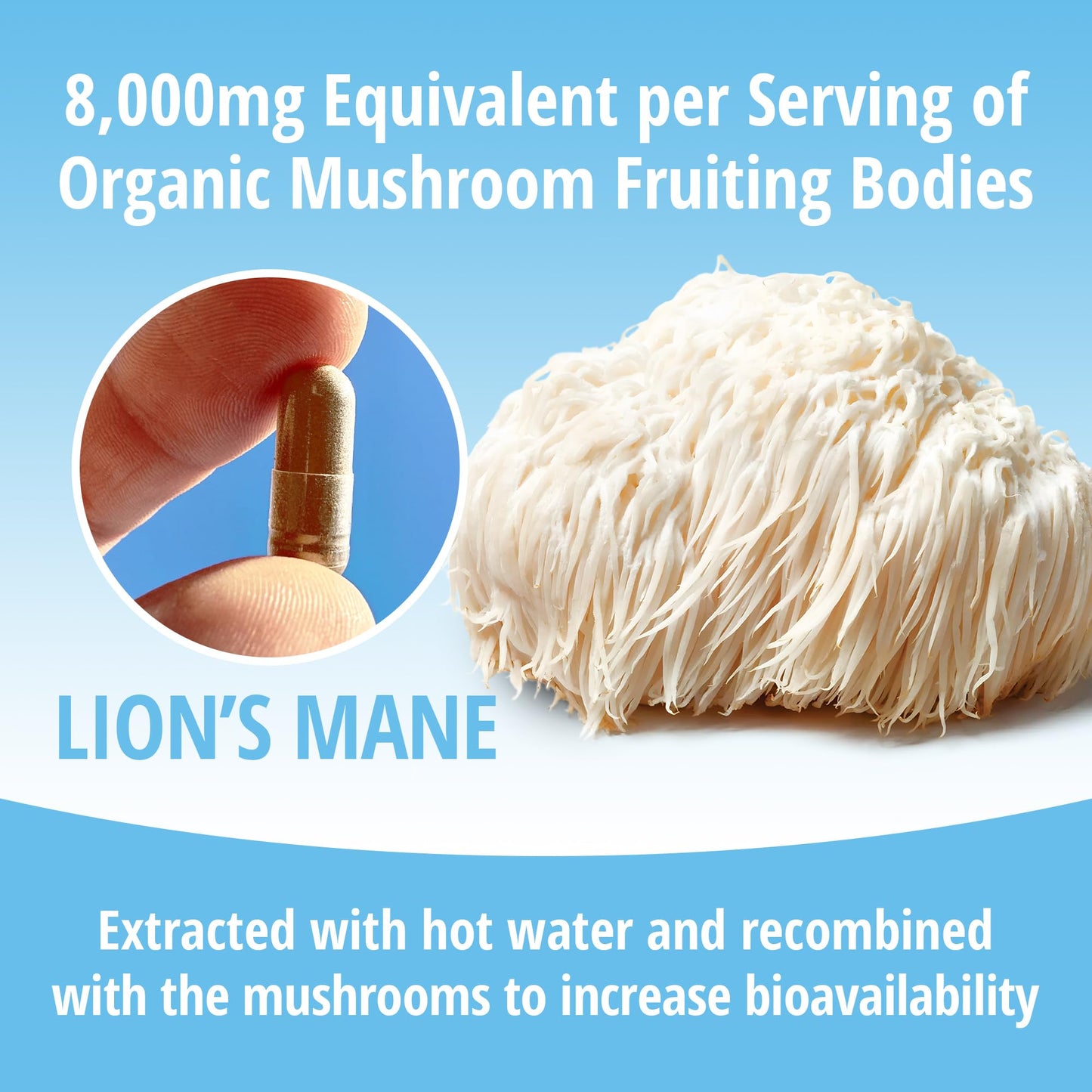 ENCAPSULATE Lion’s Mane 8:1 Extract Capsules 60 Count