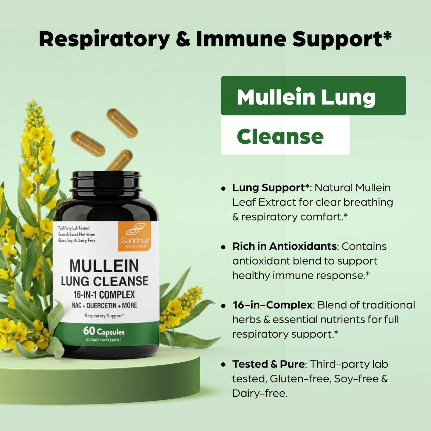 Sandhu's Mullein Capsules for Lungs with Quercetin, Mullein Leaf Extract Supplement for Immune, Lung & Respiratory Health Support, 60 Capsules